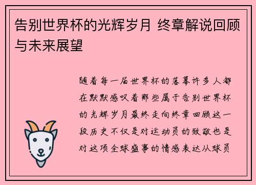 告别世界杯的光辉岁月 终章解说回顾与未来展望